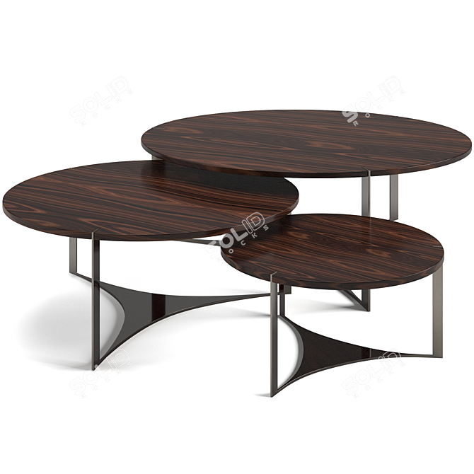 Fendi Casa Tolomeo Coffee Tables 3D model image 3