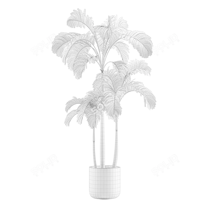 Tropical Indoor Plants Pack 3D model image 7