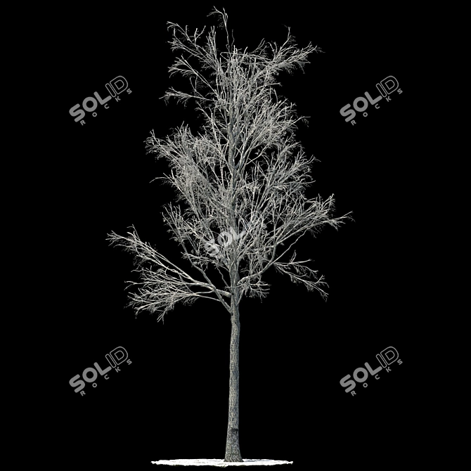 Snow-covered Aspen Tree Sculpture 3D model image 1