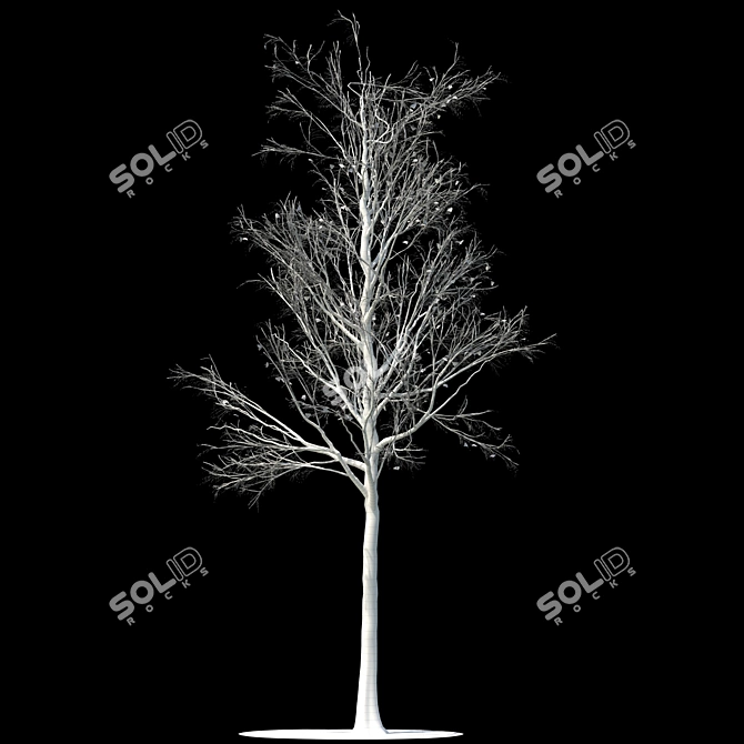 Snow-covered Aspen Tree Sculpture 3D model image 2