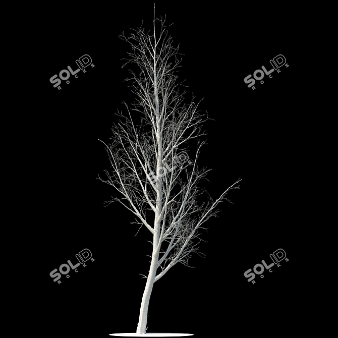 Snow-covered Poplar Tree Sculpture 3D model image 2