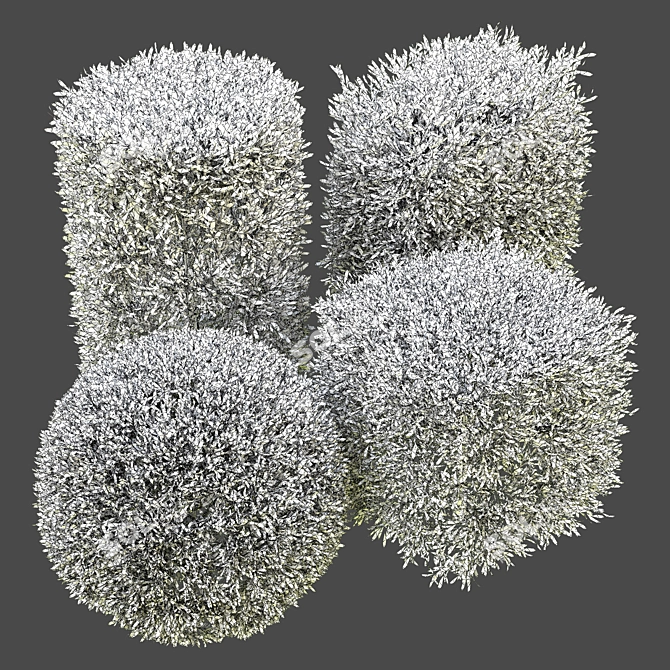 Bush Vol 04: Detailed 3D Model 3D model image 2