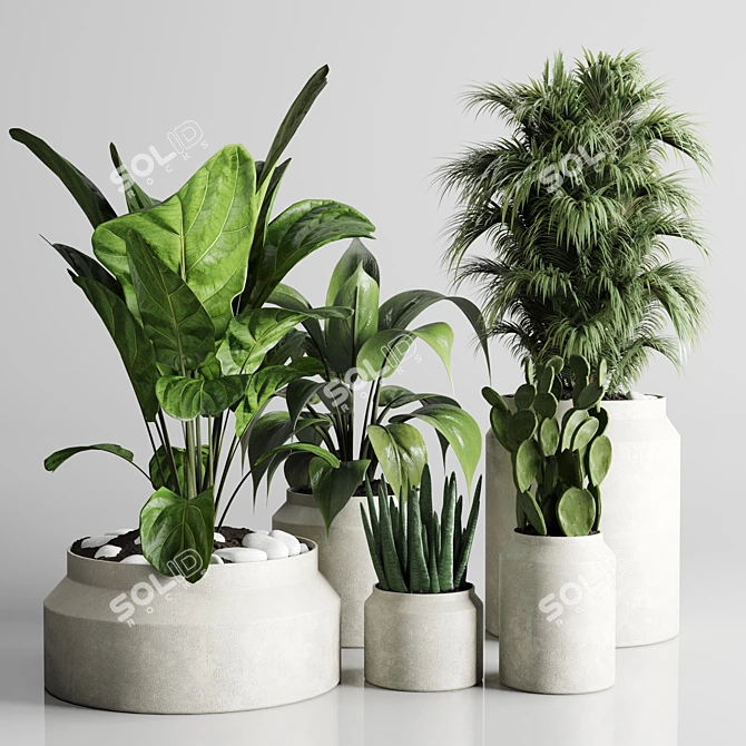 197 Plant Collection: Ficus Lyrata, Palm, Cactus in Concrete Vase 3D model image 1