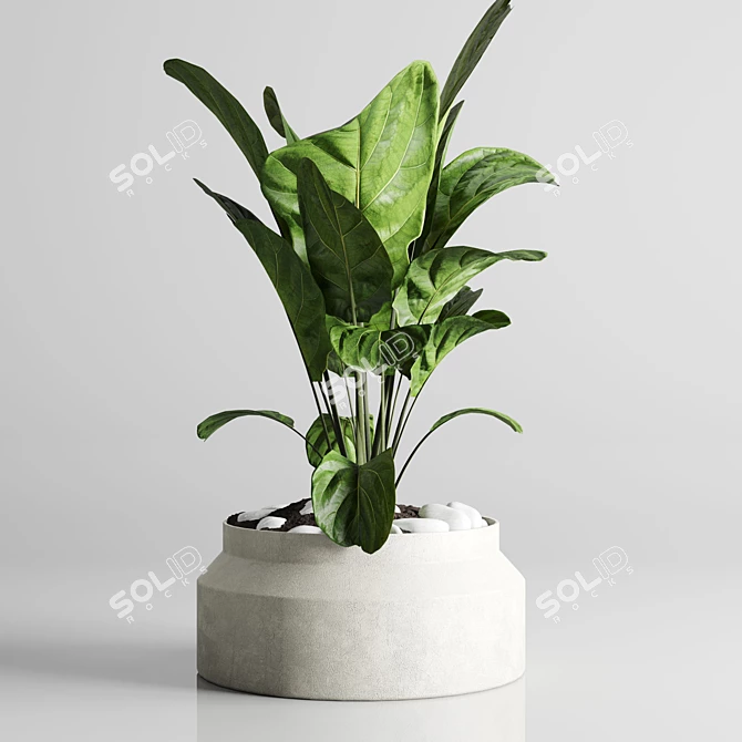 197 Plant Collection: Ficus Lyrata, Palm, Cactus in Concrete Vase 3D model image 3