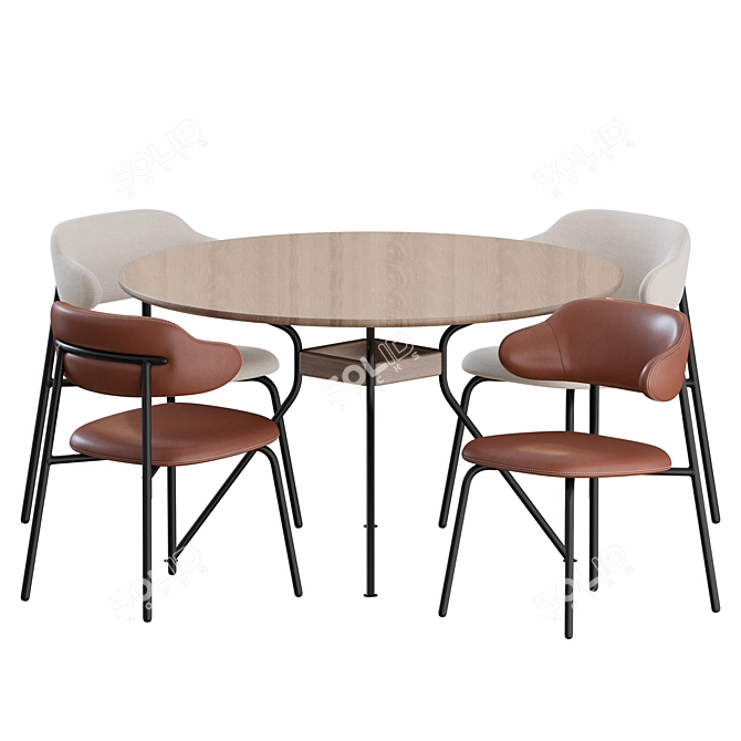 Modern Aloa Dining Set by Artifort 3D model image 4