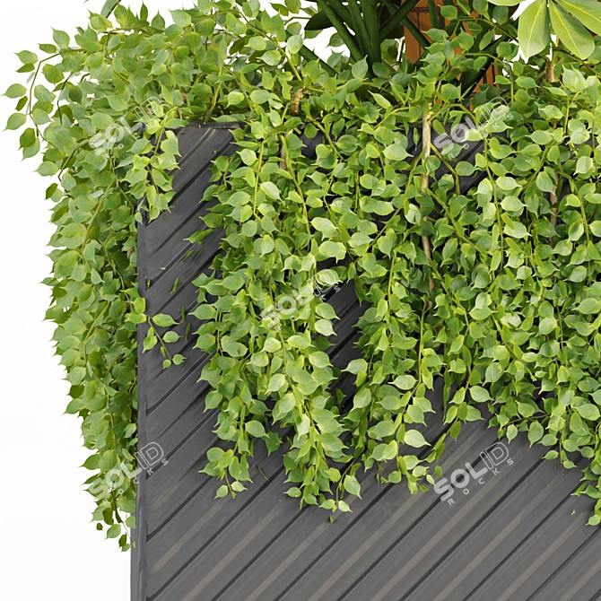 Greenery Galore: Indoor Plant Collection 3D model image 4