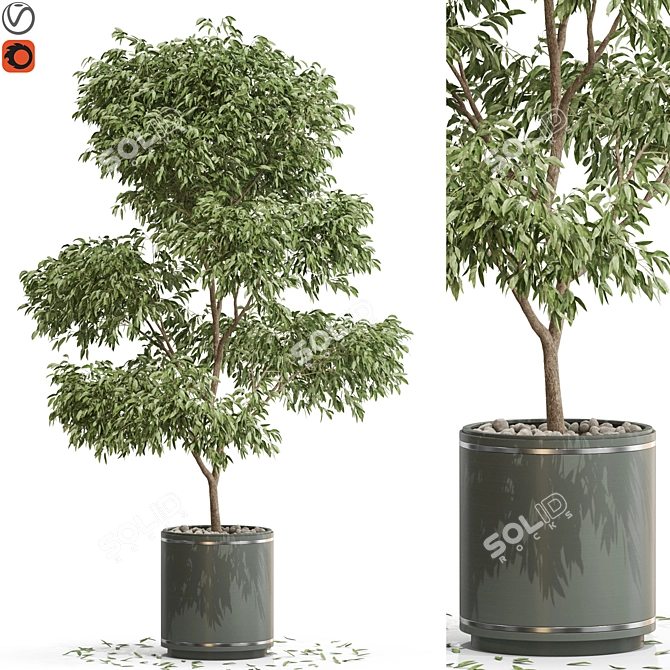 Stunning 652 Plant Collection 3D model image 1