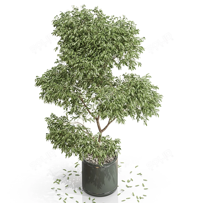 Stunning 652 Plant Collection 3D model image 2