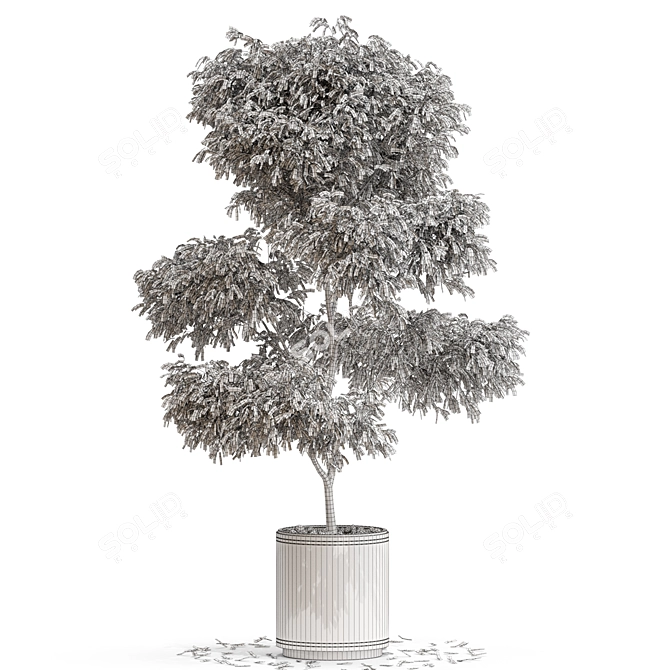 Stunning 652 Plant Collection 3D model image 3