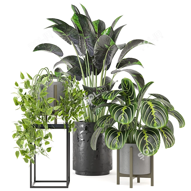 Green Oasis: Indoor Plants Set 3D model image 1