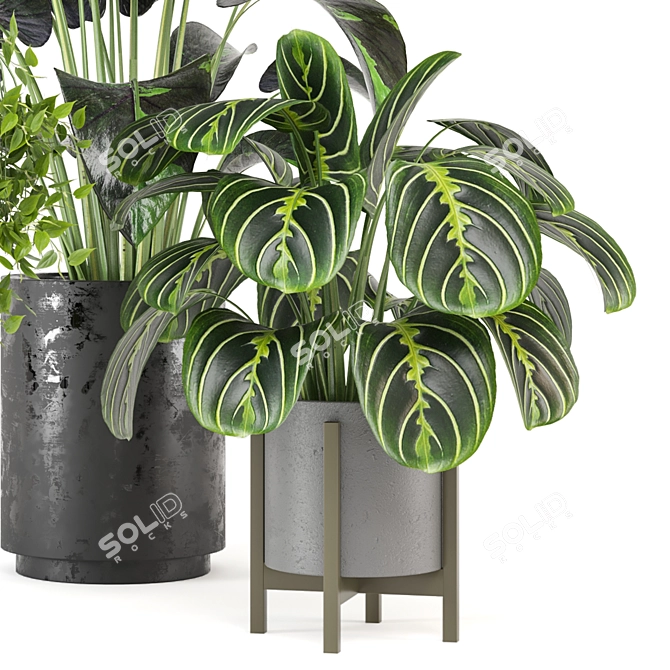 Green Oasis: Indoor Plants Set 3D model image 2