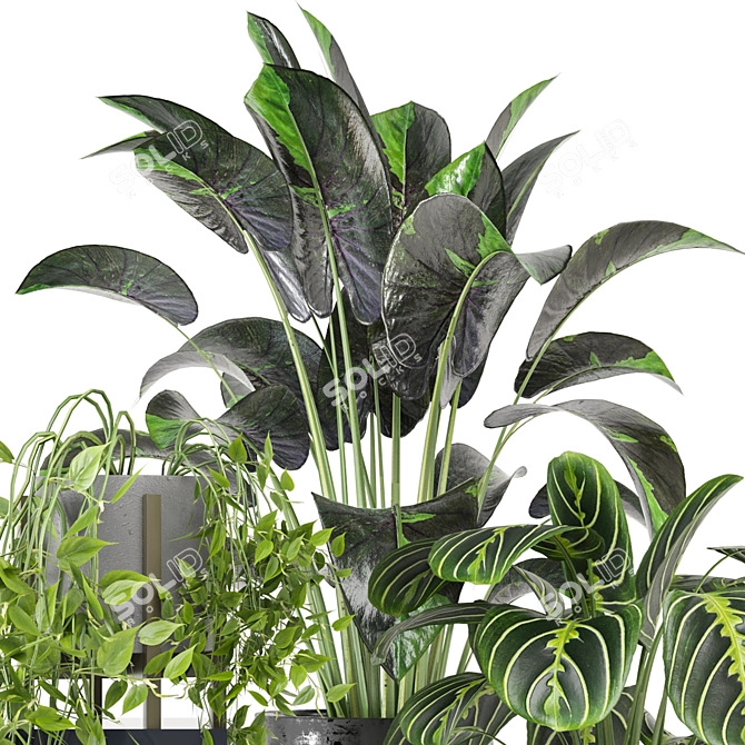 Green Oasis: Indoor Plants Set 3D model image 4