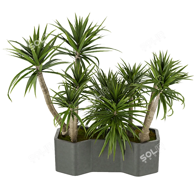 Tropical Greenery Collection: Indoor Palm & Dracaena 3D model image 2