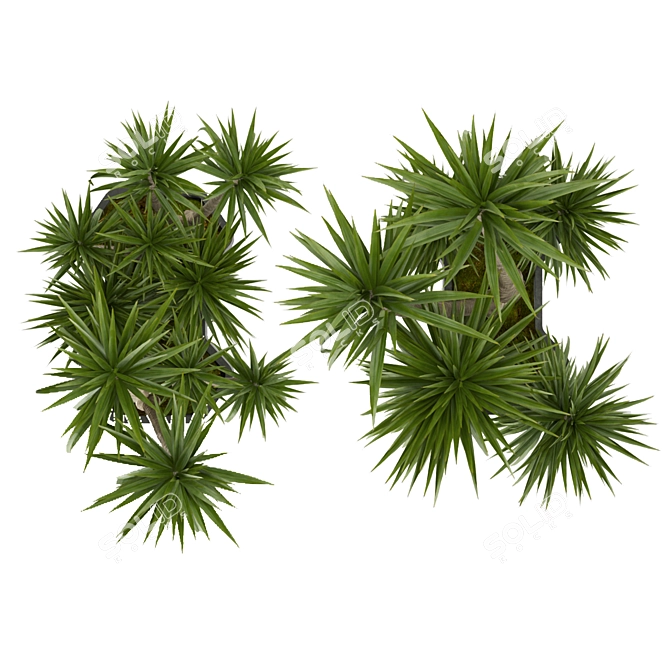 Tropical Greenery Collection: Indoor Palm & Dracaena 3D model image 4