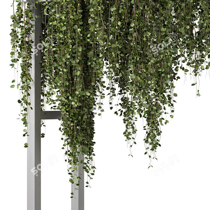 Vibrant Outdoor Hanging Plants 3D model image 4