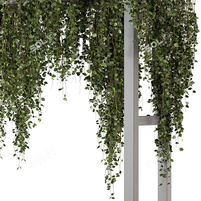 Vibrant Outdoor Hanging Plants 3D model image 5