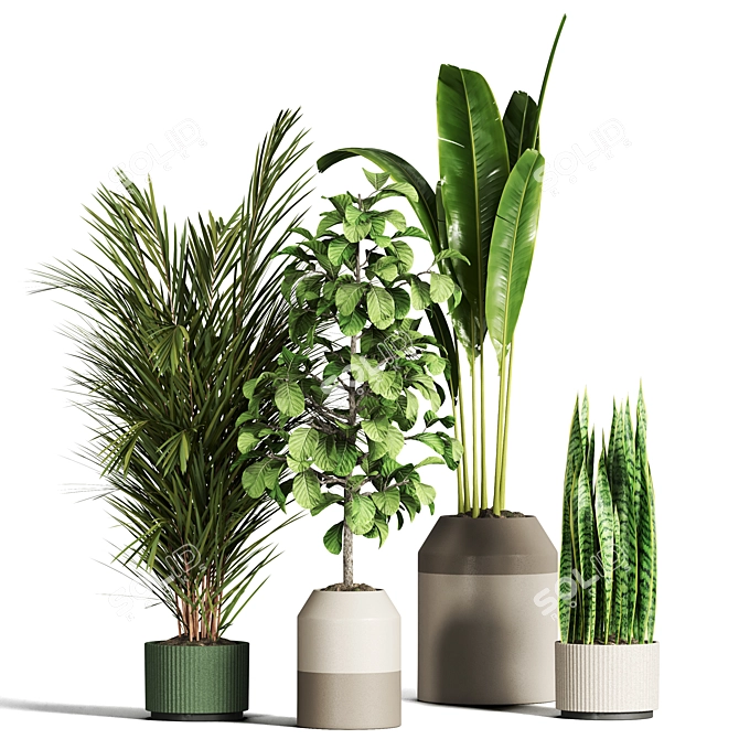 Indoor Plant Collection - Set of 59 3D model image 1