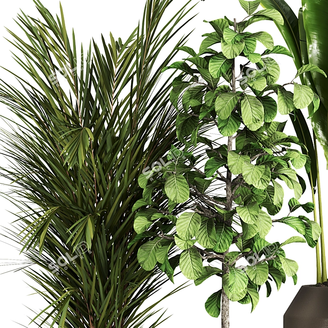 Indoor Plant Collection - Set of 59 3D model image 2