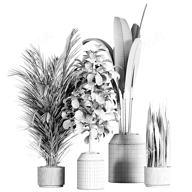 Indoor Plant Collection - Set of 59 3D model image 5