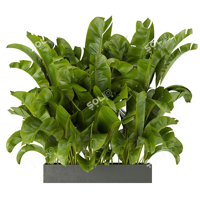 Tropical Vibes: Banana Leaf Plant 3D model image 3