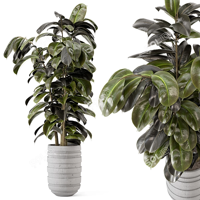 Rusty Concrete Pot Indoor Plants - Set 549 3D model image 1