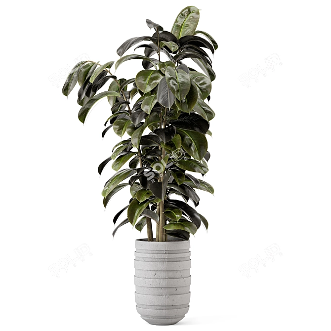 Rusty Concrete Pot Indoor Plants - Set 549 3D model image 6