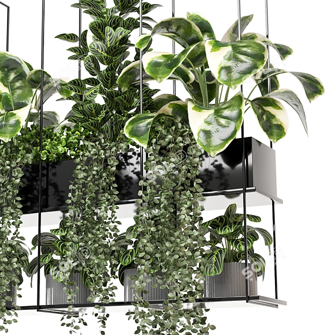 Metal Box with Hanging Plants 3D model image 5