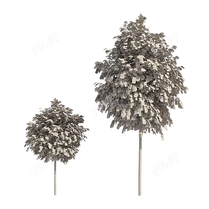 Lifelike Street Landscape Trees 3D model image 6