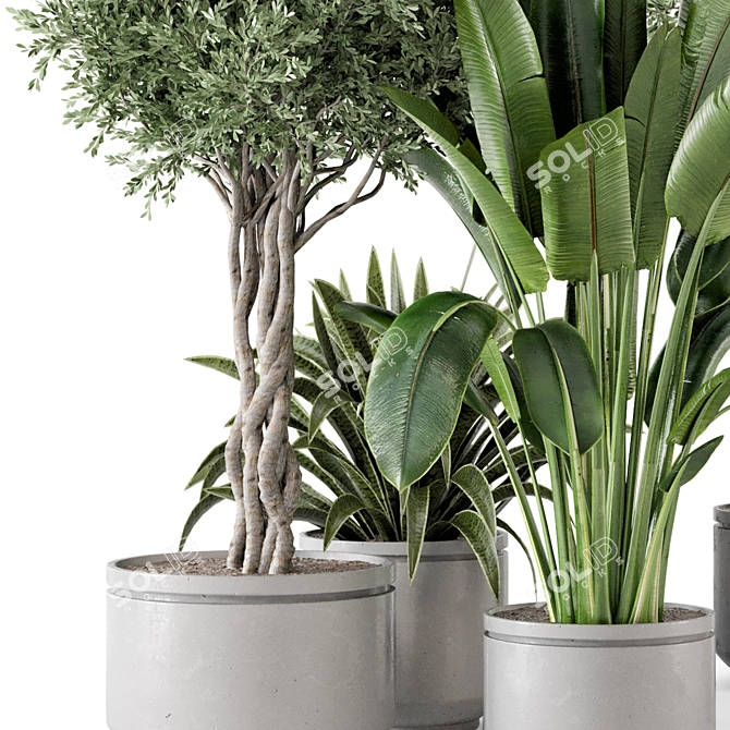 Rusty Concrete Pot Set with Indoor Plants 3D model image 3