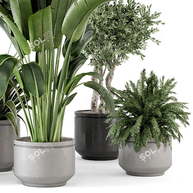 Rusty Concrete Pot Set with Indoor Plants 3D model image 4