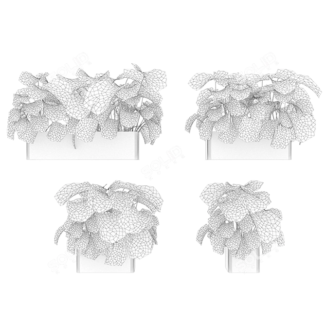 Monstera Collection: Indoor Jungle Vibe 3D model image 6