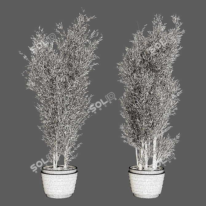 Exquisite Outdoor Plant Vol. 48 3D model image 4