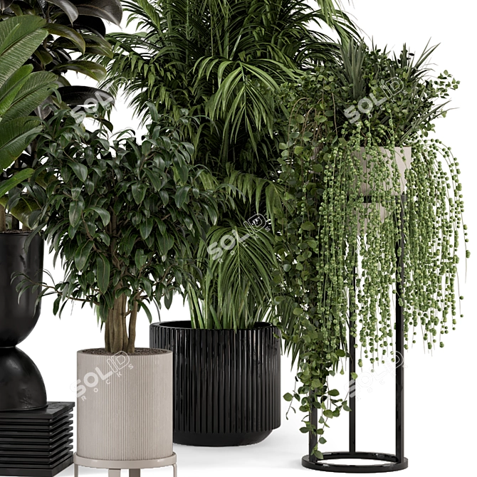 Ferm Living Indoor Plants: Bau Pot Large - Set 552 3D model image 4