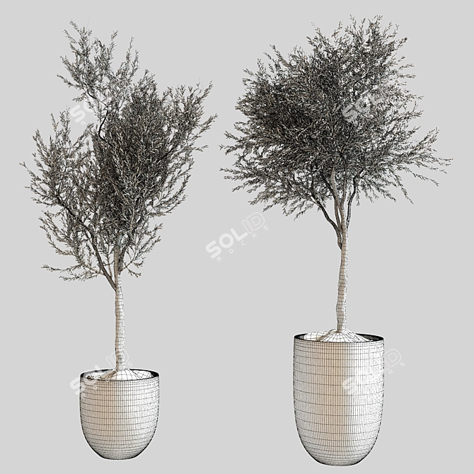 Modern Indoor Plant Decor 3D model image 4