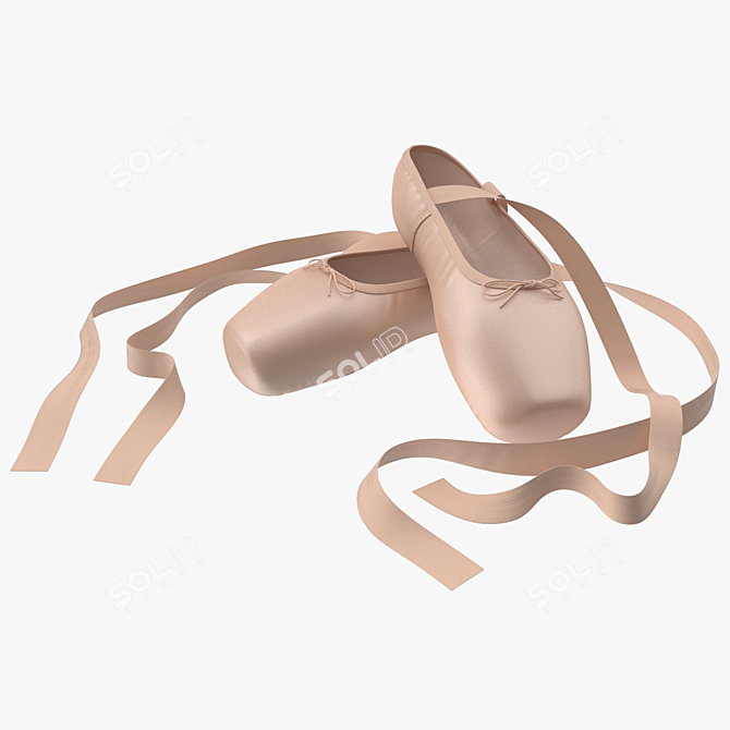 Elegant Crossed Ballet Shoes 3D model image 1