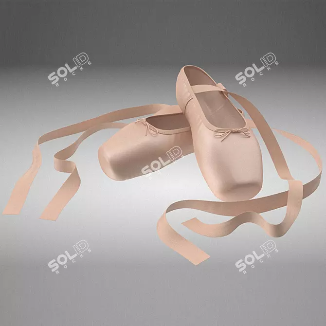 Elegant Crossed Ballet Shoes 3D model image 2