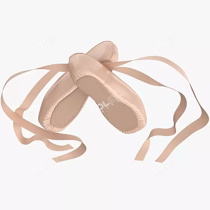 Elegant Crossed Ballet Shoes 3D model image 4