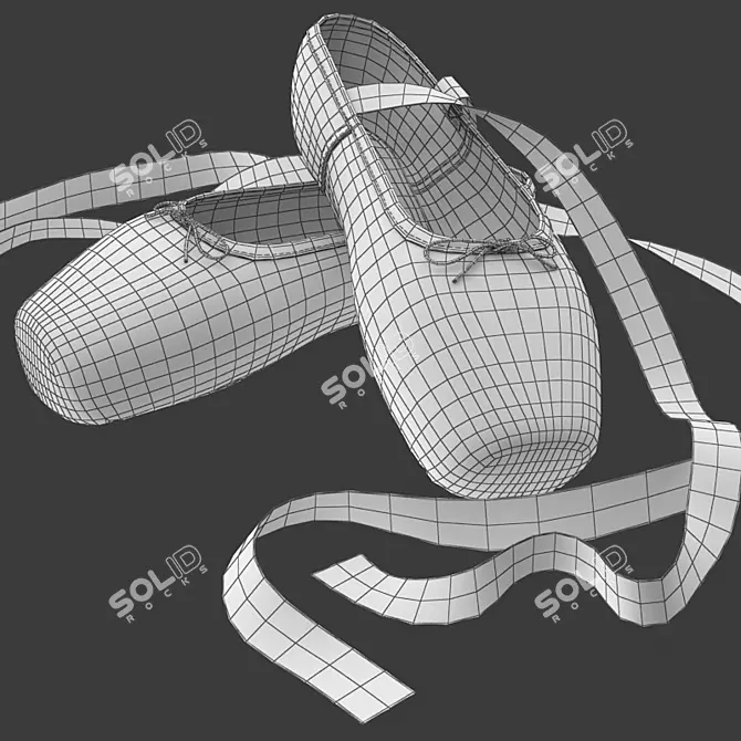 Elegant Crossed Ballet Shoes 3D model image 6