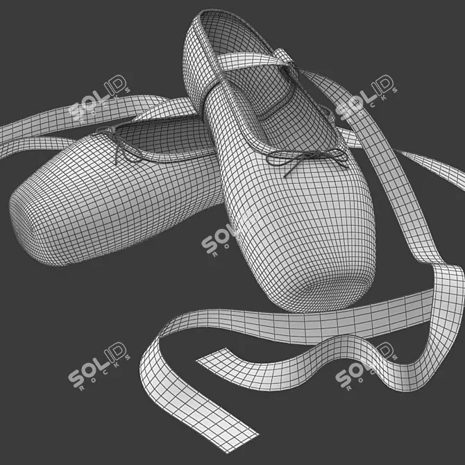 Elegant Crossed Ballet Shoes 3D model image 7