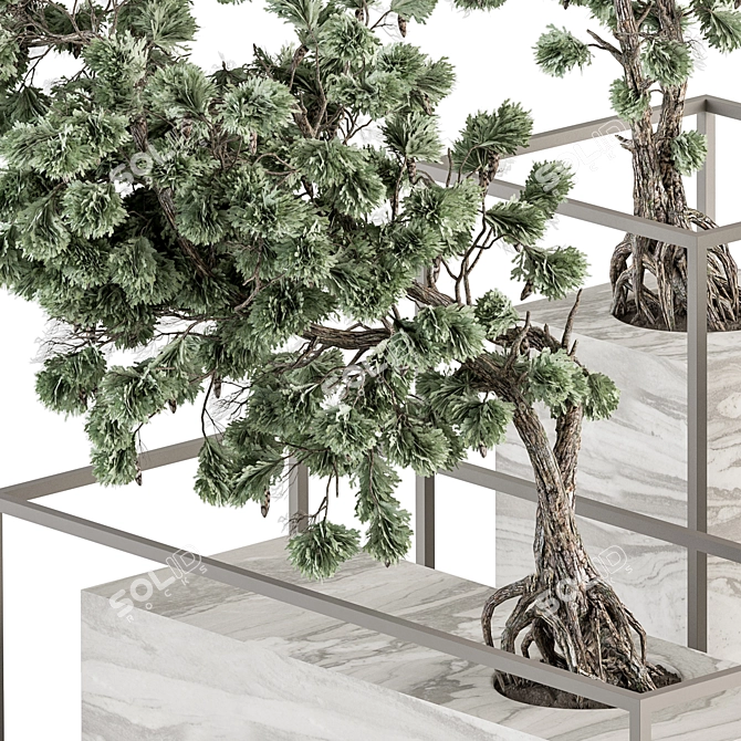 ZenMinds Bonsai Set: Indoor Plant Set 358 3D model image 2