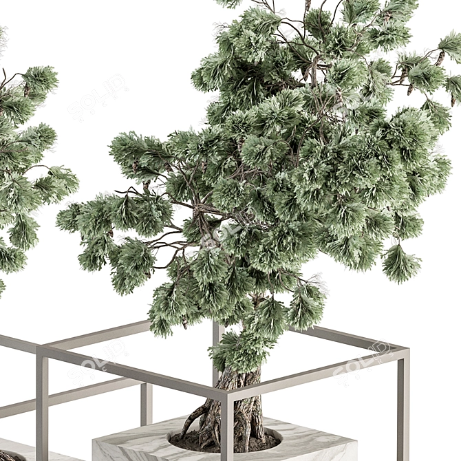 ZenMinds Bonsai Set: Indoor Plant Set 358 3D model image 3