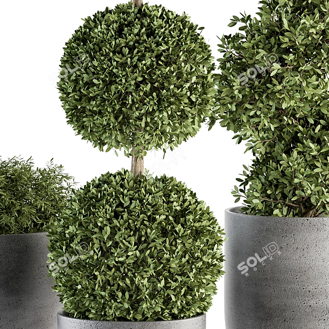 Outdoor Greenery Set: Topiary & Bush 3D model image 2