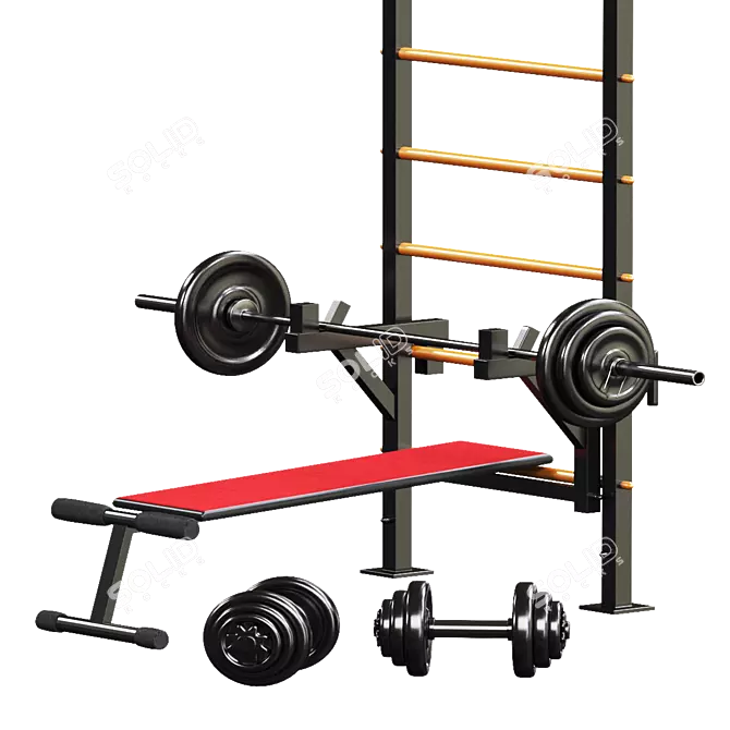 Sport Swedish Wall: Versatile Fitness Equipment 3D model image 3