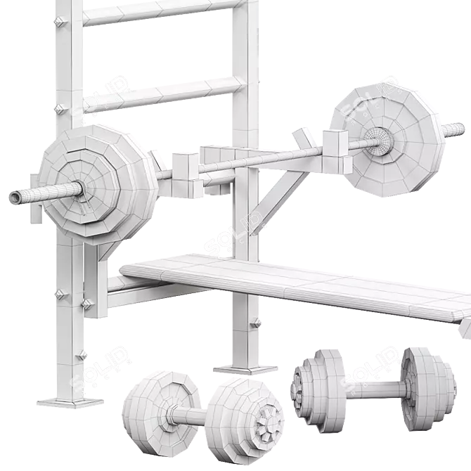 Sport Swedish Wall: Versatile Fitness Equipment 3D model image 6