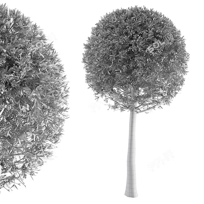Vibrant 2015 Tree Sculpture 3D model image 2