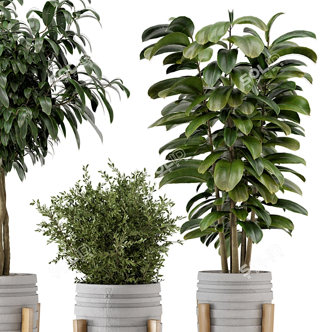  Rustic Concrete Pot with Wooden Base - Indoor Plant Set 3D model image 2