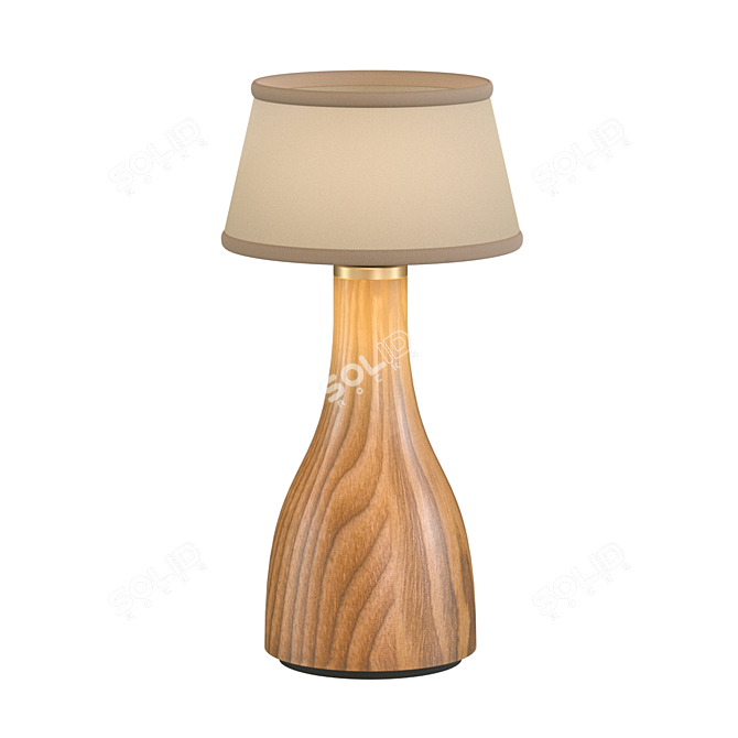 Bellingen Spring Table Lamp: Illuminate Your Space 3D model image 1
