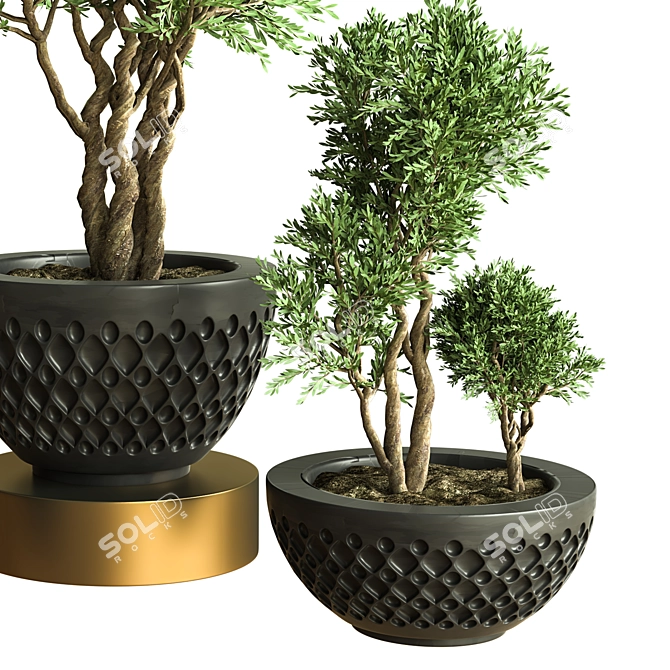 Stunning Indoor Plant Vol. 47 3D model image 2