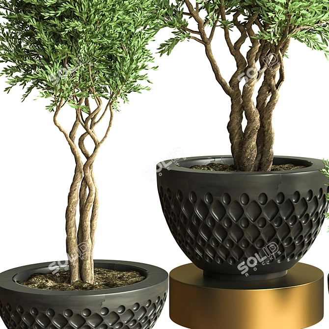 Stunning Indoor Plant Vol. 47 3D model image 3