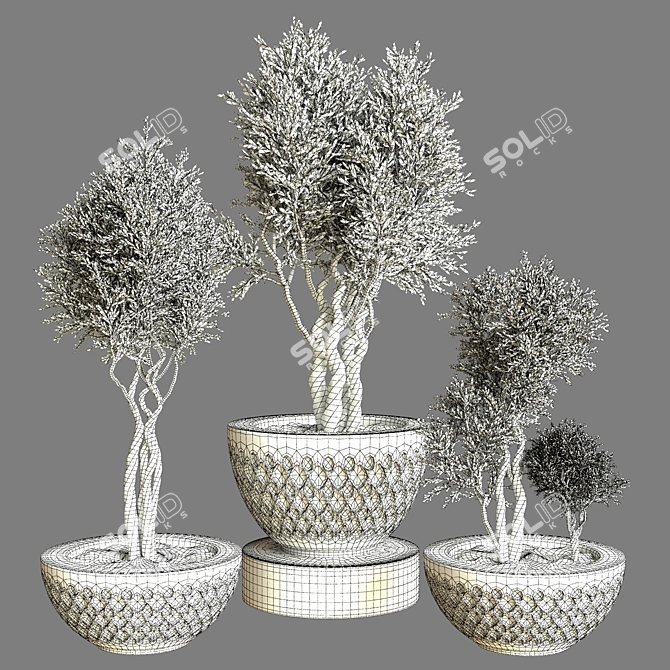 Stunning Indoor Plant Vol. 47 3D model image 4